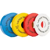 Lattice Training - Fractional Weight Plates multi coloured