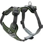 Hunter - Harness Divo L, green/grey - (67593)