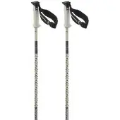Salomon Polar Pro S3 Stokken