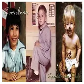 Import Sparkle & Fade [Vinyl LP]