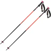 Salomon Polar Pro S3 Stokken
