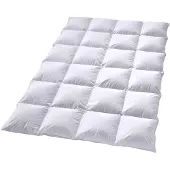 Overige merken Dik Hollands Donzen 4-seizoenen Dekbed -2-persoons (200x220 cm)