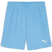 Puma GOAL Training Short