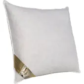 Ten Cate 3-Kamer Ganzendonzen Hoofdkussen 60x70 cm