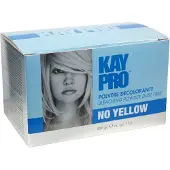 KayPro Blauw Ontkleurings Stofvrij Poeder - 500gr