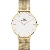 Daniel Wellington DW00100346 dameshorloge, met een roestvrijstalen kast en een metalen band