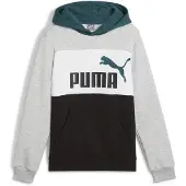 Puma Ess Block Hoodie