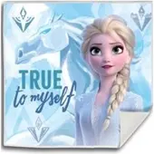 Kids Licensing Handdoek Frozen Ii Meisjes 30 Cm Katoen Blauw