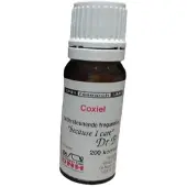 Dnh Coxiel