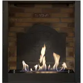 Xaralyn Bio-ethanol haard - Inbouwunit medaillon - 3 KW verwarming - makkelijk inbouwen - veilig open vuur - keramische bio-ethanol brander