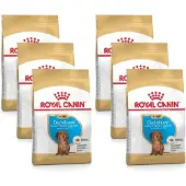 Royal Canin Dachshund - Puppy-Hondenvoer - 6 x 1.5 kg