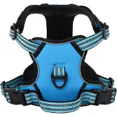 vidaXL Hondentuigje met riem en halsband verstelbaar L blauw