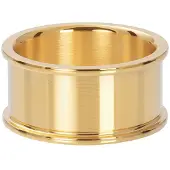 Ixxxi Basisring 10 mm Goud