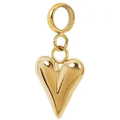 Ixxxi Connect Bedel Wild Heart | Goud