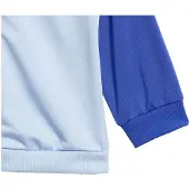 Adidas Trainingspak