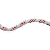 Mammut 11.0 Performance Static Touw