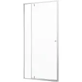 Sealskin - Douchedeur Contour 100 X 200cm - Geborsteld Staal Profiel - 6 Mm Helder Glas