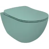 Boss & Wessing Wandcloset BWS Rimoff Ophang Toilet Zonder Bidet Nijl Groen