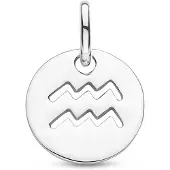 The Jewelry Collection Zilver Gerhodineerde Hanger sterrenbeeld waterman 1333705