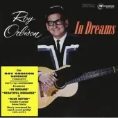 Bertus Distributie In Dreams