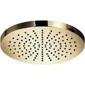 Hotbath Hoofddouche Cobber Opbouw 20 cm Gepolijst Messing PVD