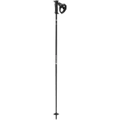 Salomon Polar Prime CB Ergo S3, skistokken, zwart