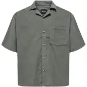 Only & Sons Overhemd 'Alfi' aardetinten