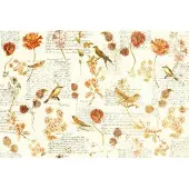 Architects Paper Fotobehang Atelier 47 Bird Poetry 1 (4-delig)