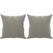 vidaXL Sierkussens 2 st 40x40 cm fluweel lichtgrijs