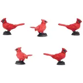 Safari Ltd Educational Cardinal Figure 192 Pieces Rood Kinderen