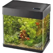 Superfish Panorama 50 zwart