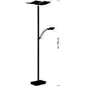 HELL LED-uplighter vloerlamp Andy, dimbaar, zwart, Woon-/ Eetkamer, metaal, Modern, LED vloerlamp