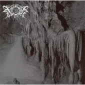 Import Xasthur