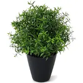 Maxifleur Kunstplanten Eucalyptus kunstplant 35cm