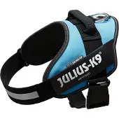 Julius-K9 IDCPowertuig, L - maat 1, azuurblauw