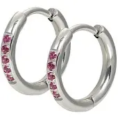 Ixxxi Creolen Hoops Fuchsia Zilver