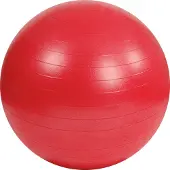 Mambo Max Yoga ball 55 cm Rood