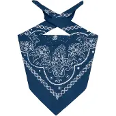 Levi's Doek 'Paisley Bandana' blauw / wit