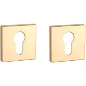 Aprile Comfort Profielcilinder rozet 53x53x7mm goud gepolijst PVD Rozetten