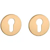 Aprile | Prestige Profielcilinder rozet | 52x5mm | Goud mat