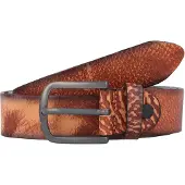 Vanzetti Riem bruin