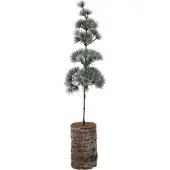 Intratuin Mini Kunstkerstboom Lohko Op Houten Voet D 14 H 60 Cm