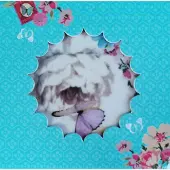 Accessorize Cupcake - With - Love - Vlinder - Cupcake - standaard - Wit