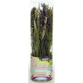Esve Pet Bouquet Koker Aves Minor - Vogelsnack - 200 g