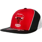 Mitchell & ness Freethrow Snap Bulls Pet by
