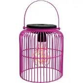 Intratuin Lantaarn Madrid Roze D 13 H 16 Cm