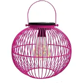 Intratuin Lantaarn Wenen Roze D 20 H 18 Cm