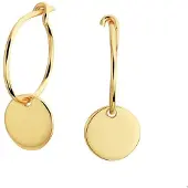 The Jewelry Collection Zilver Verguld Oorringen rondje 1 micron 2100866