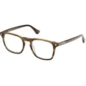 Web Bril - - WE5386 - Bruin acetaat - 50/20/145 - Man