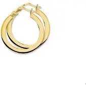 The Jewelry Collection Geelgouden Oorringen vierkante buis 4013210